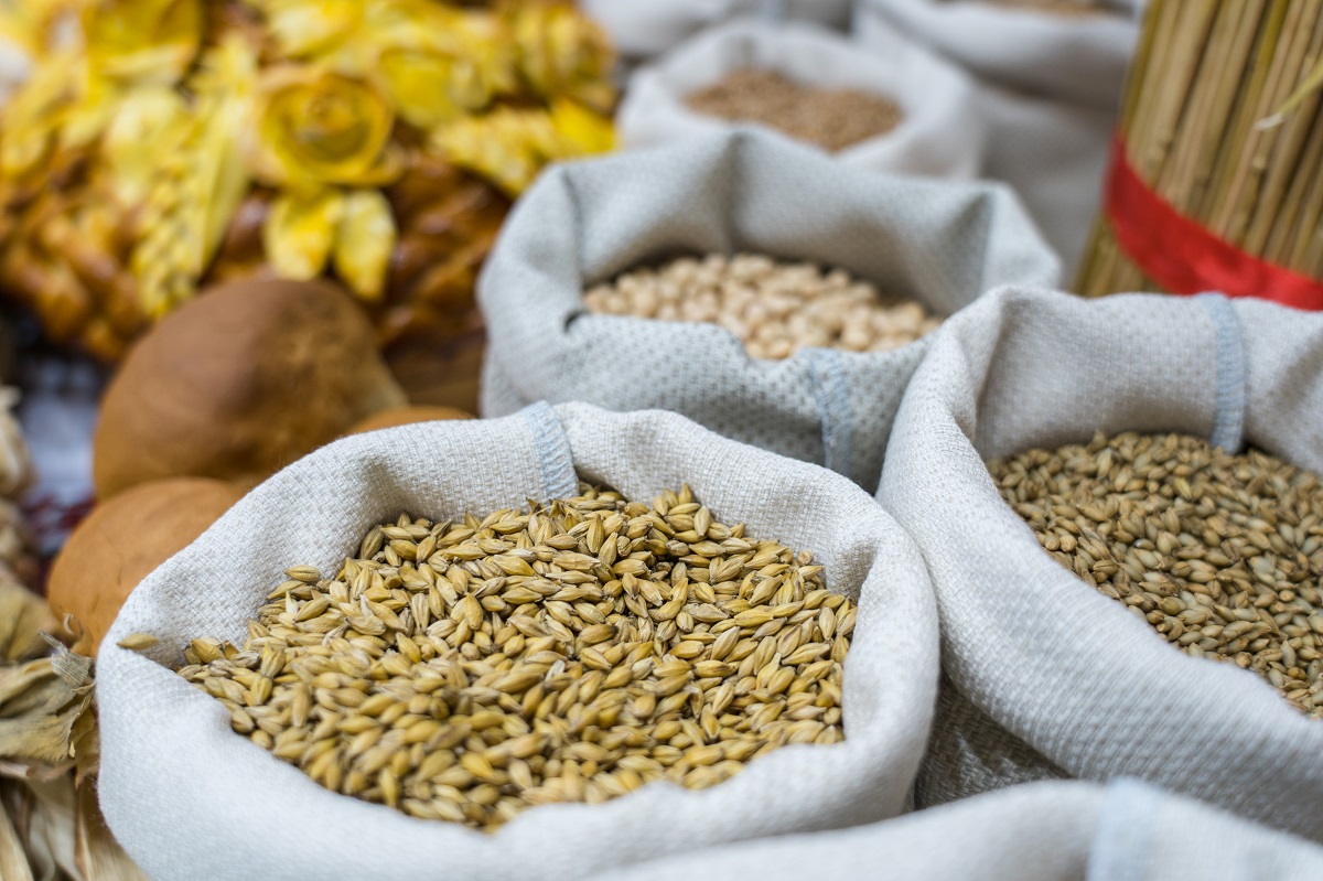 It became known how farmers can improve grain trading